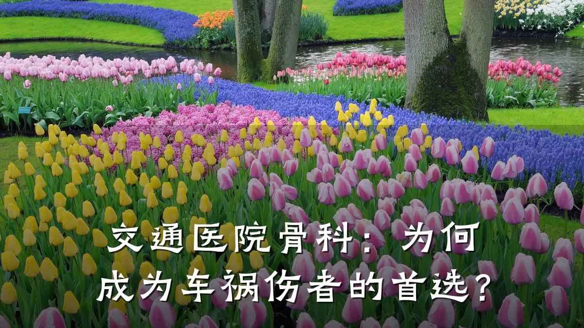 交通医院骨科:为何成为车祸伤者的首选?