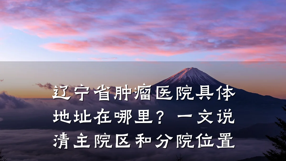辽宁省肿瘤医院具体地址在哪里?一文说清主院区和分院位置