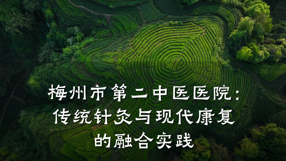 梅州市第二中医医院:传统针灸与现代康复的融合实践