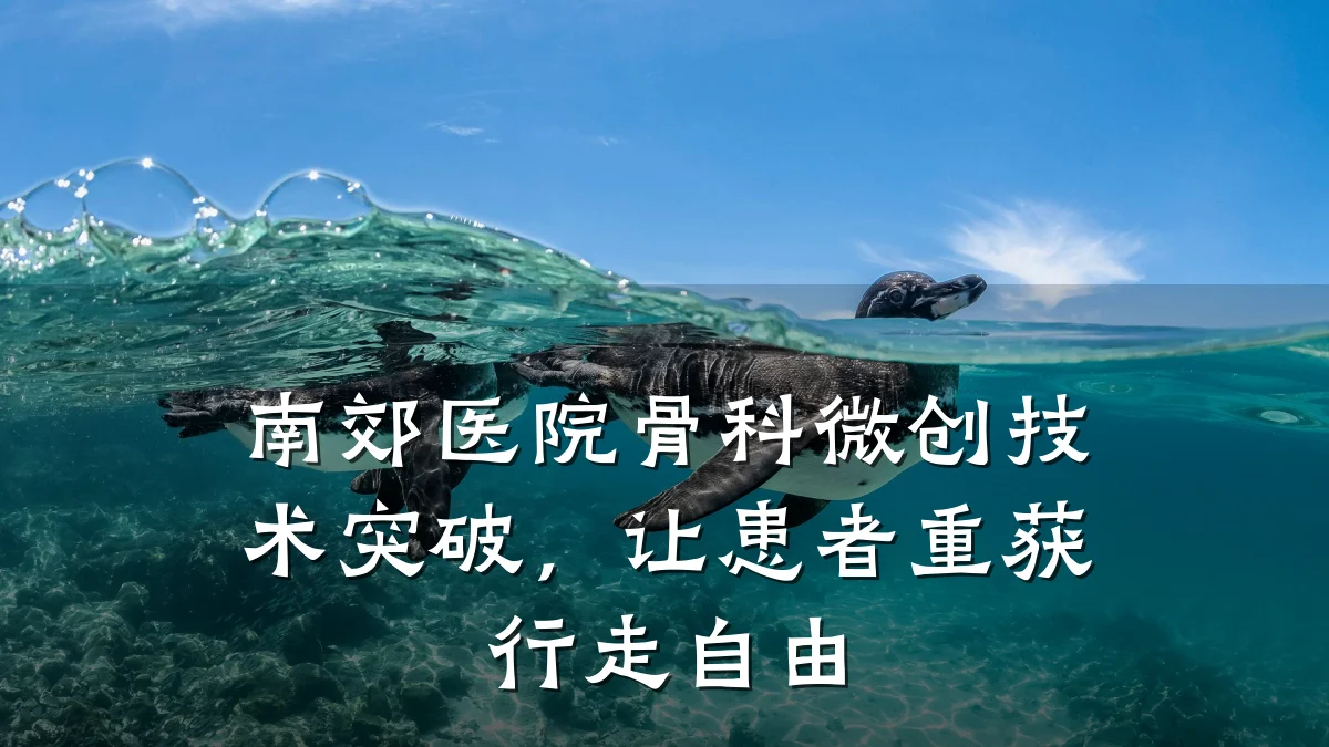 南郊医院骨科微创技术突破,让患者重获行走自由