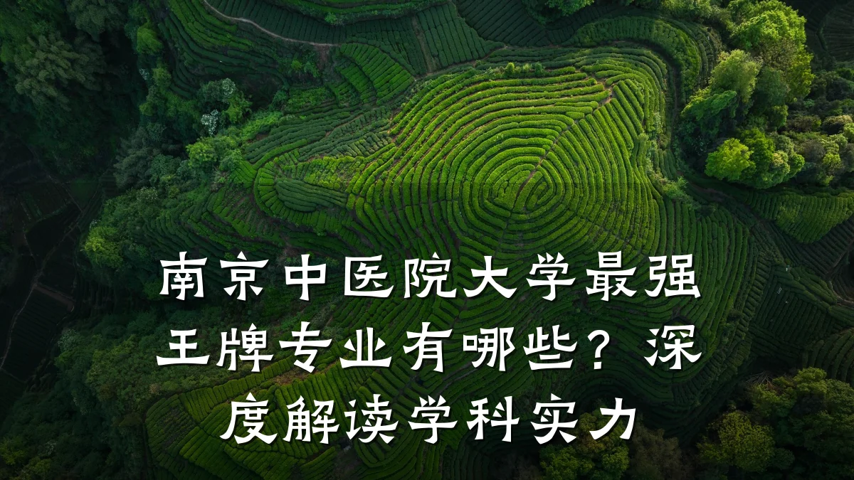 南京中医院大学最强王牌专业有哪些?深度解读学科实力
