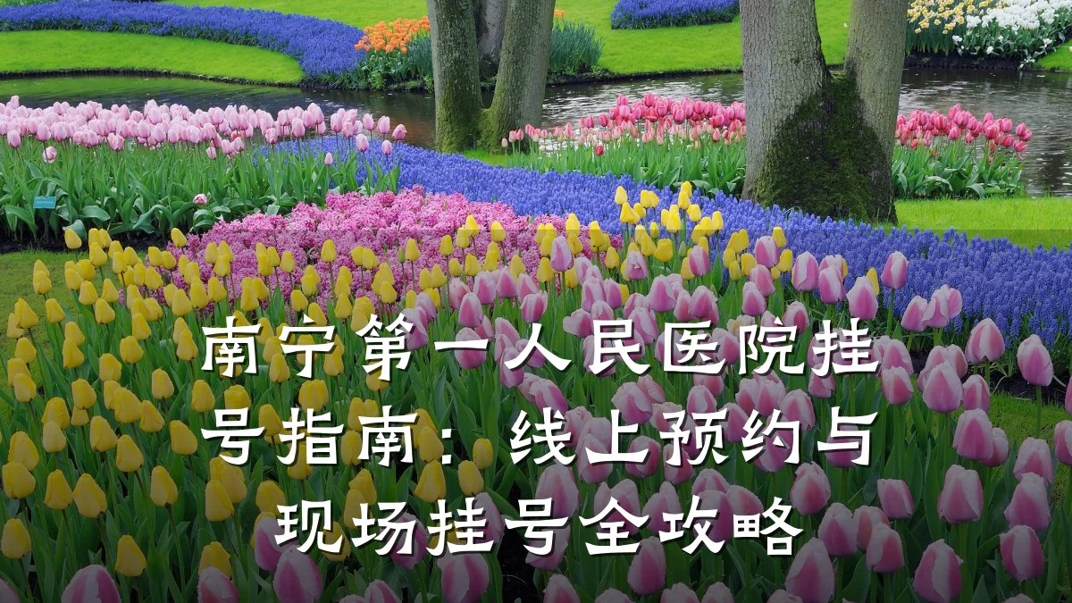 南宁第一人民医院挂号指南:线上预约与现场挂号全攻略