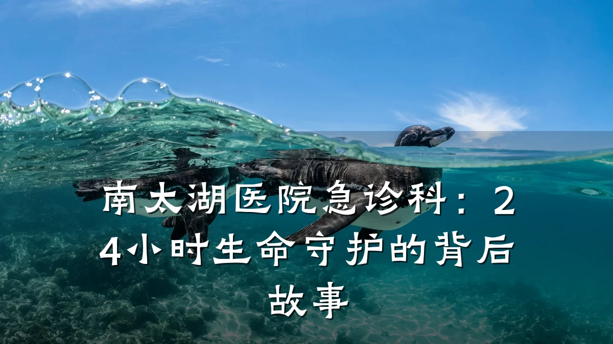 南太湖医院急诊科:24小时生命守护的背后故事