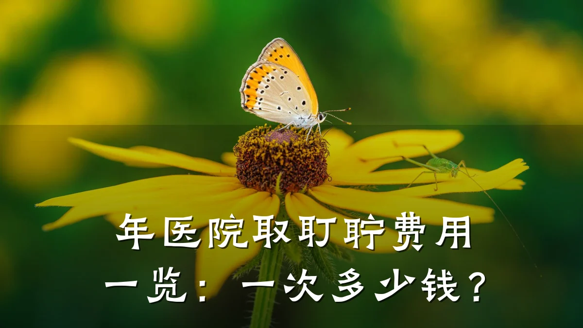 年医院取耵聍费用一览:一次多少钱?
