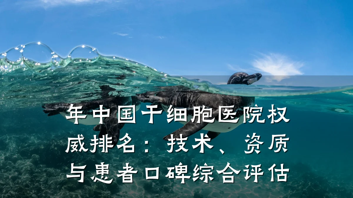 年中国干细胞医院权威排名:技术、资质与患者口碑综合评估