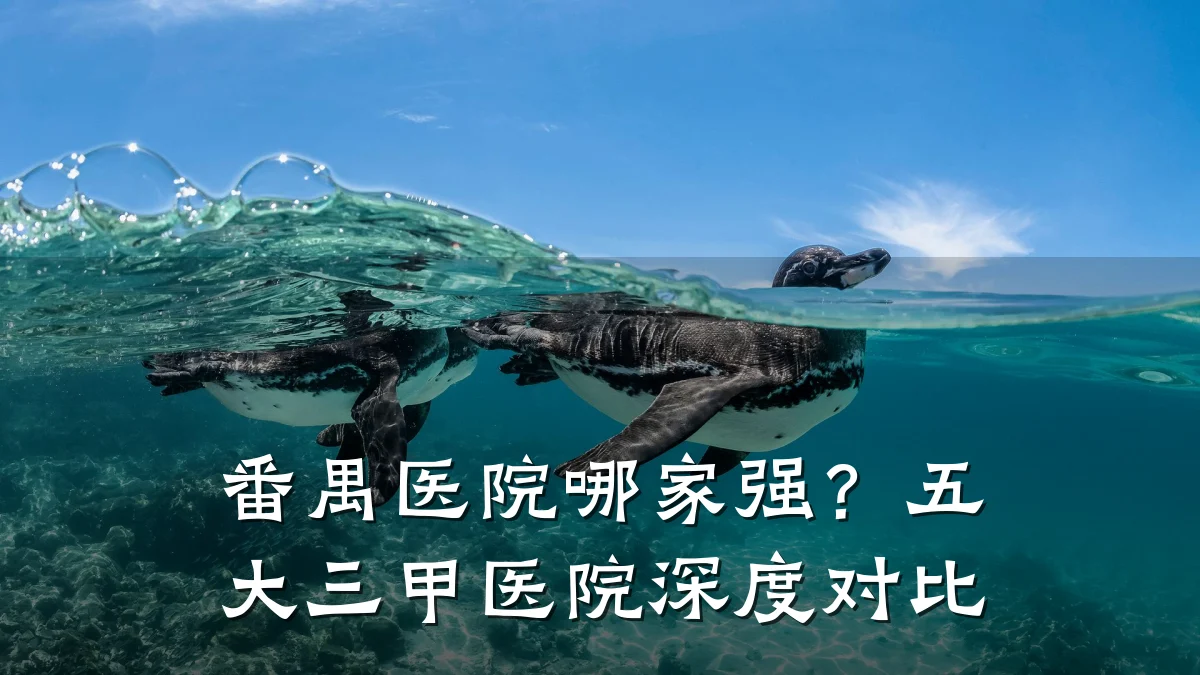 番禺医院哪家强？五大三甲医院深度对比