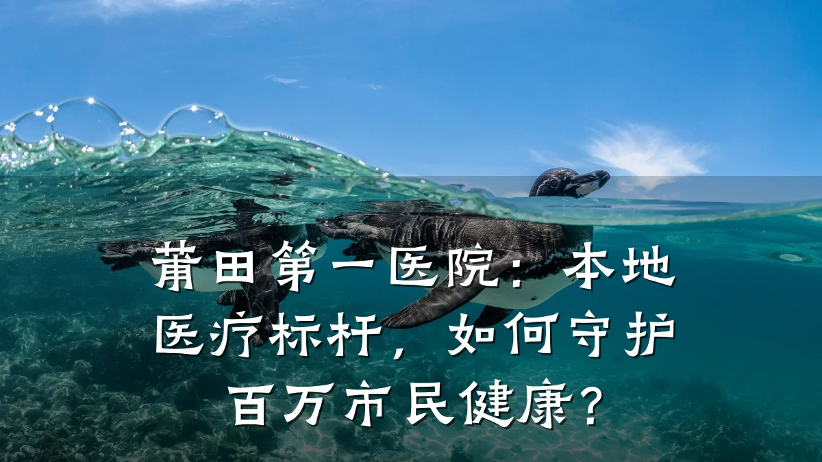 莆田第一医院:本地医疗标杆,如何守护百万市民健康?