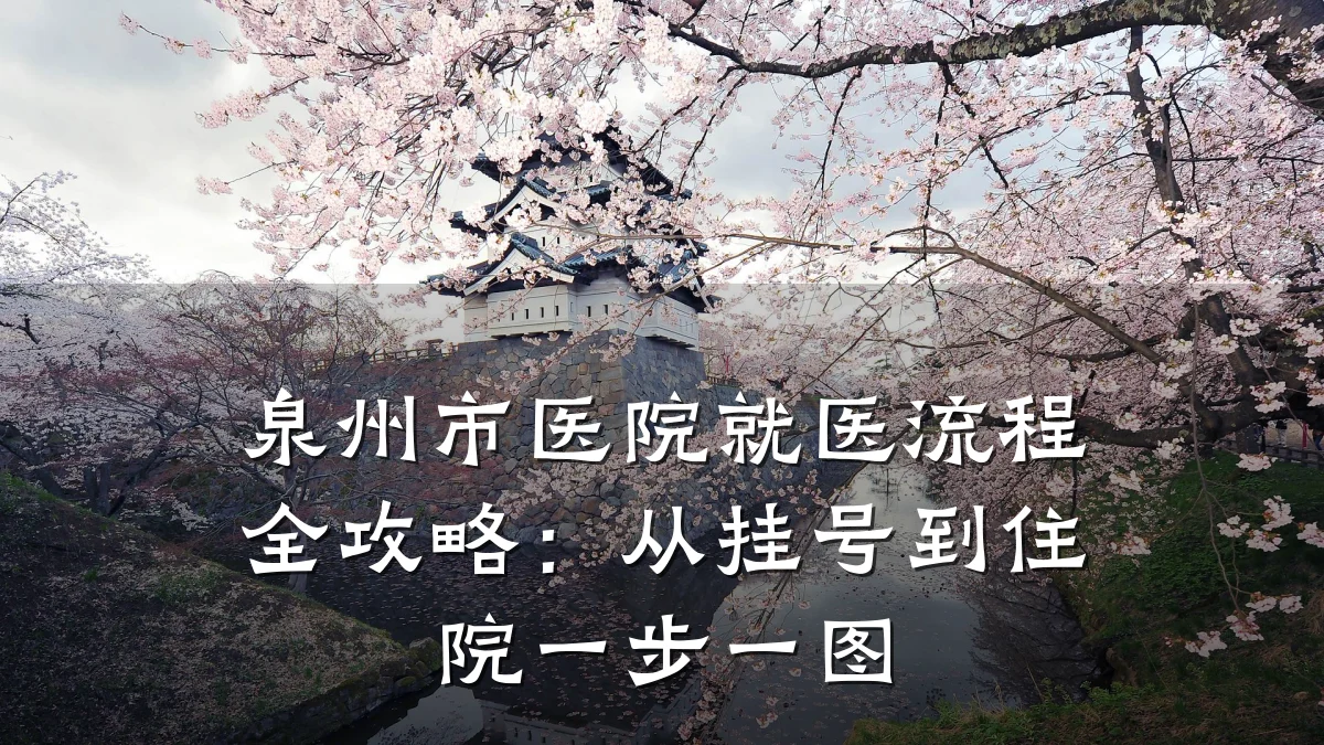 泉州市医院就医流程全攻略:从挂号到住院一步一图