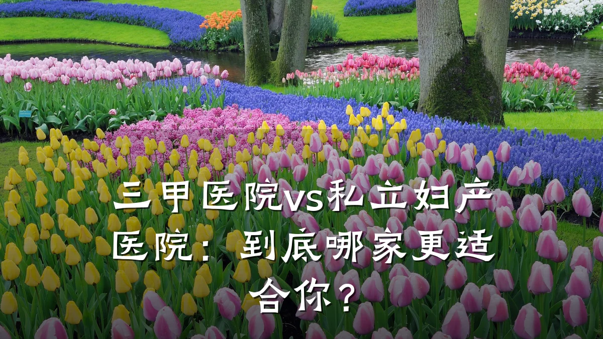 三甲医院vs私立妇产医院：到底哪家更适合你？