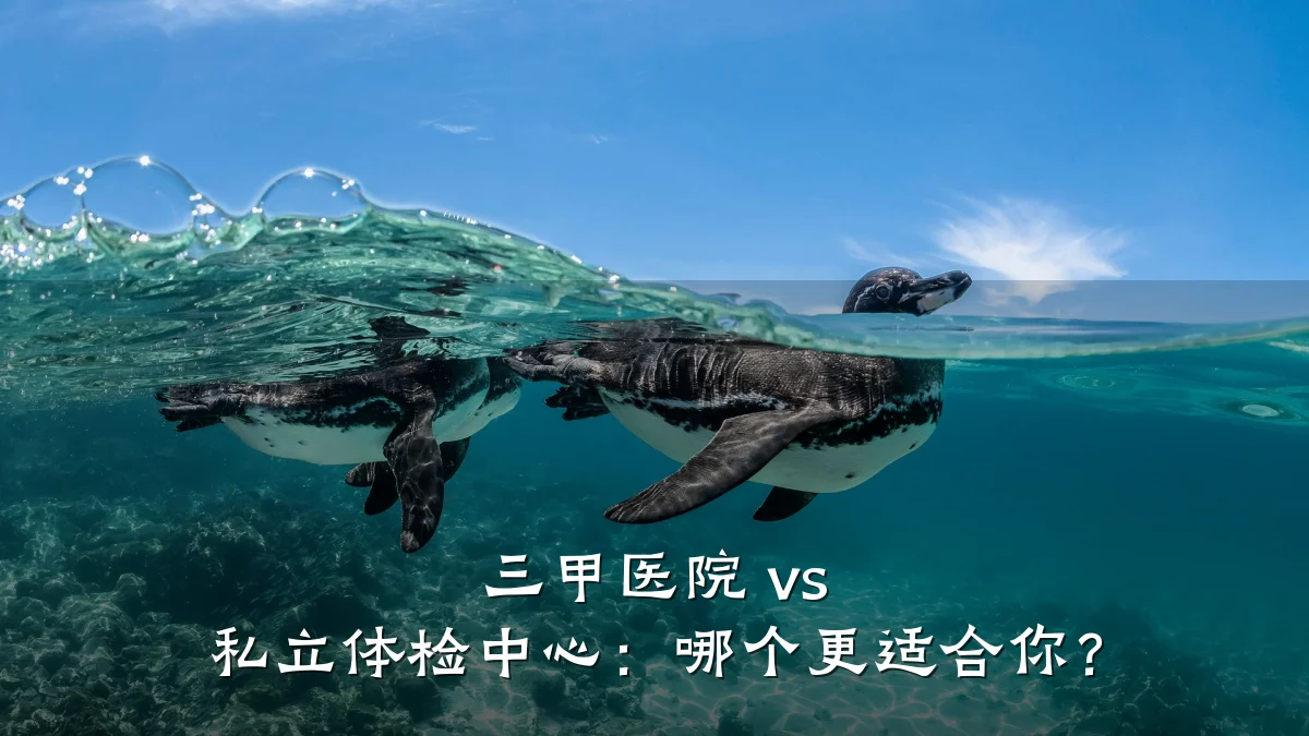 三甲医院 vs 私立体检中心:哪个更适合你?