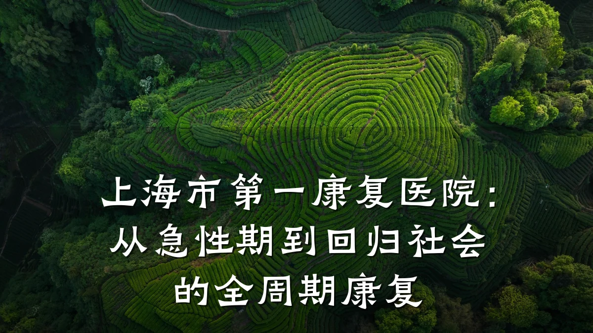 上海市第一康复医院:从急性期到回归社会的全周期康复