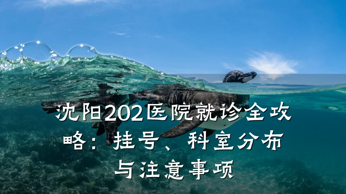 沈阳202医院就诊全攻略:挂号、科室分布与注意事项