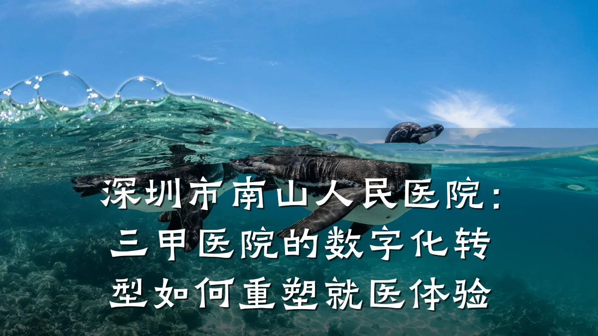 深圳市南山人民医院:三甲医院的数字化转型如何重塑就医体验