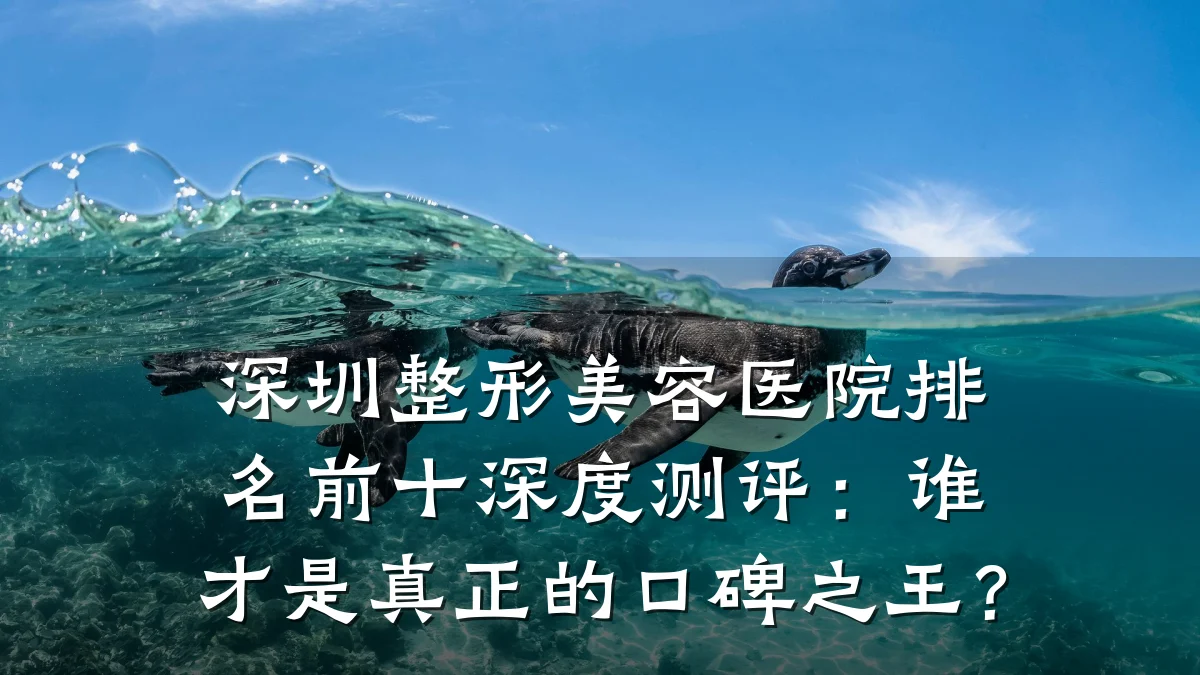 深圳整形美容医院排名前十深度测评:谁才是真正的口碑之王?