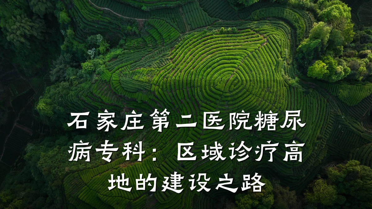 石家庄第二医院糖尿病专科:区域诊疗高地的建设之路