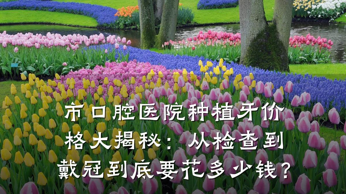 市口腔医院种植牙价格大揭秘：从检查到戴冠到底要花多少钱？