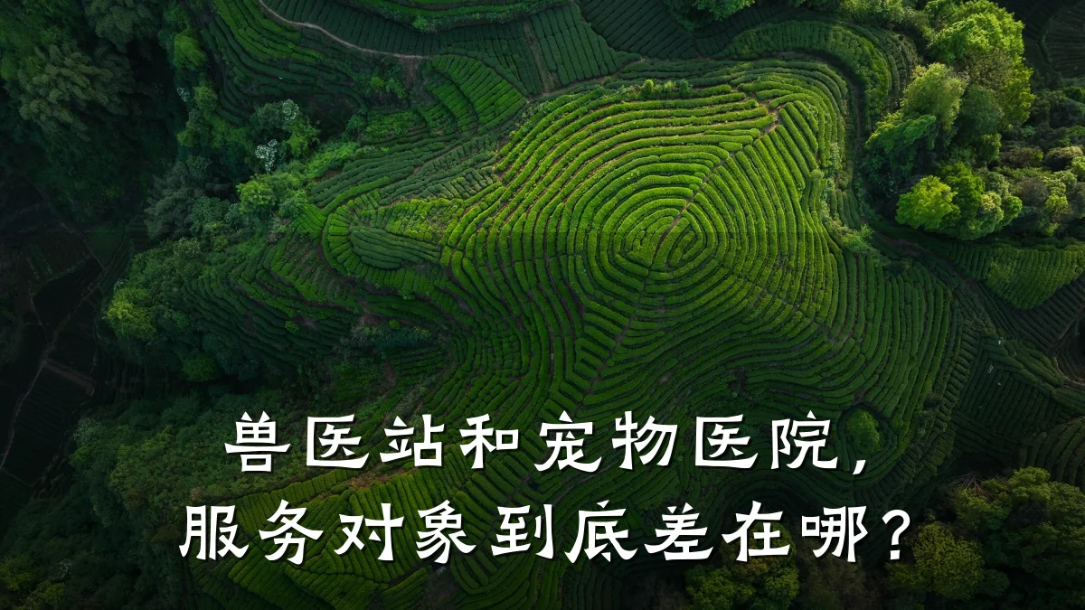 兽医站和宠物医院，服务对象到底差在哪？
