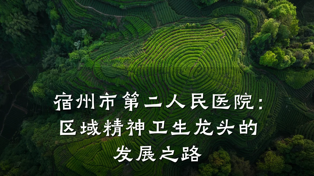 宿州市第二人民医院:区域精神卫生龙头的发展之路
