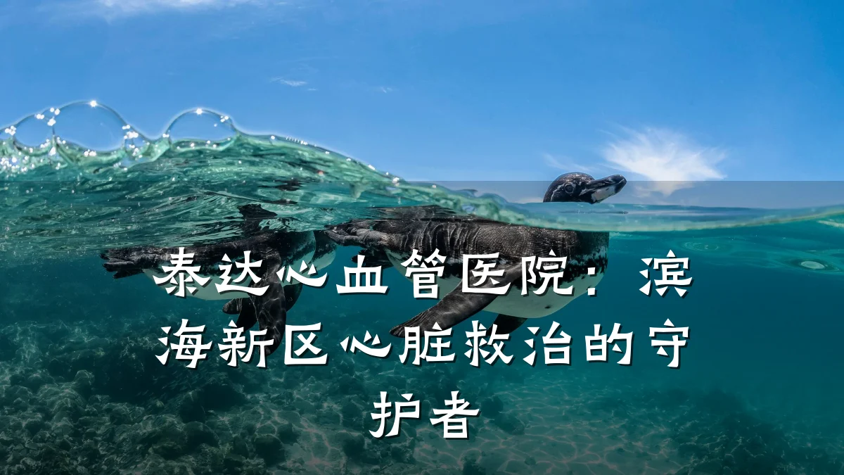 泰达心血管医院：滨海新区心脏救治的守护者