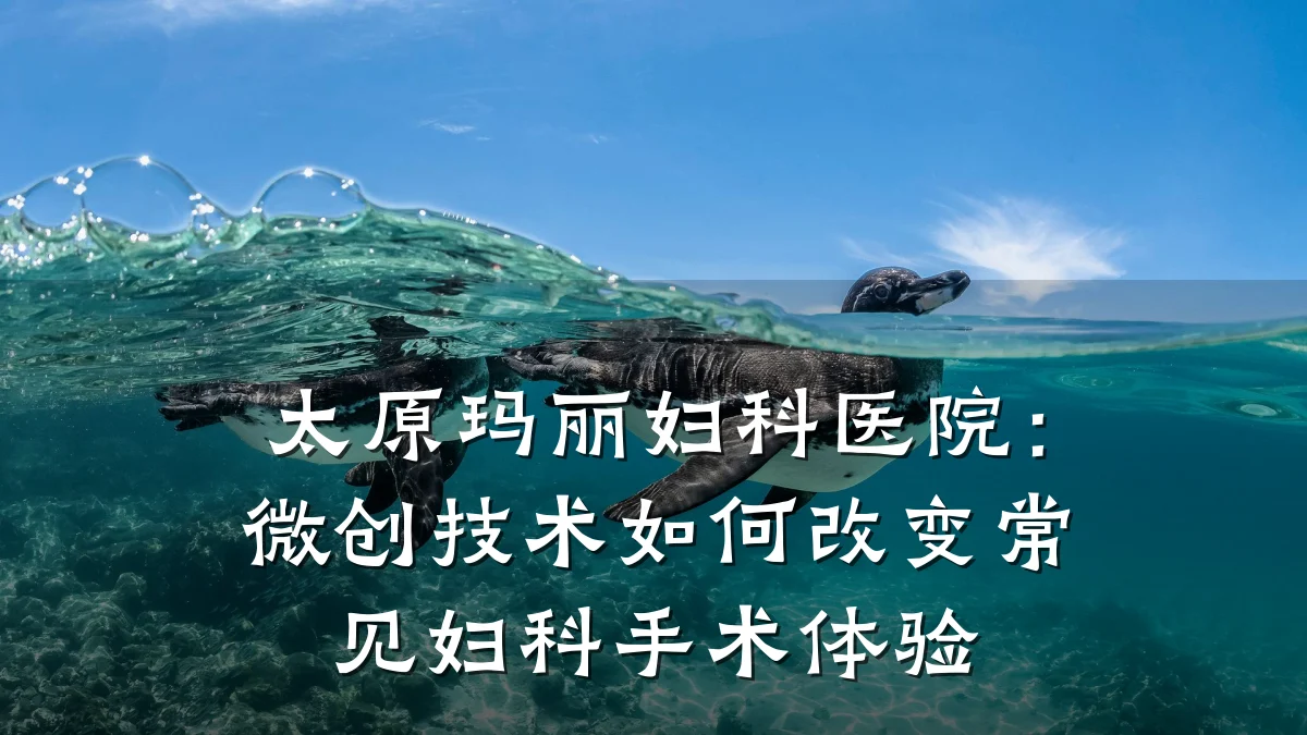 太原玛丽妇科医院:微创技术如何改变常见妇科手术体验