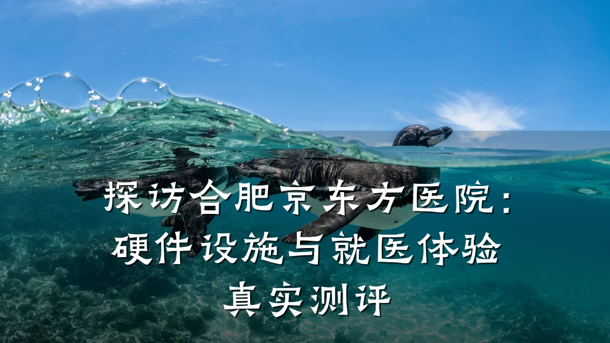 探访合肥京东方医院：硬件设施与就医体验真实测评