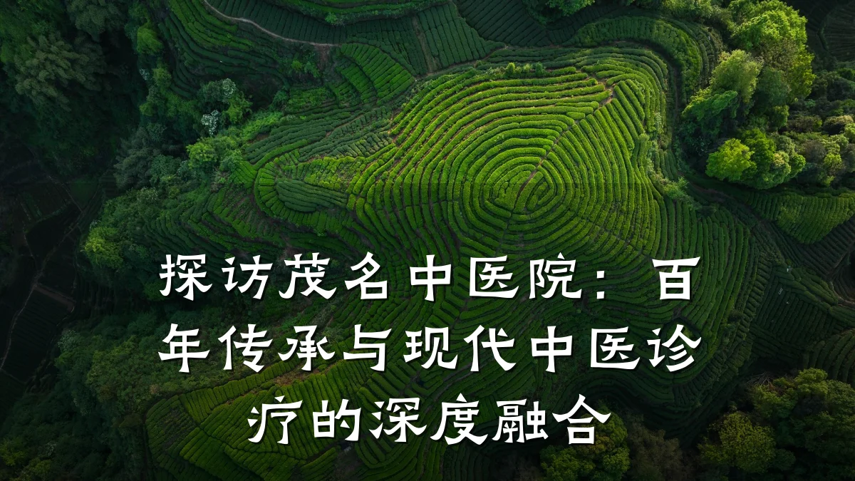 探访茂名中医院:百年传承与现代中医诊疗的深度融合