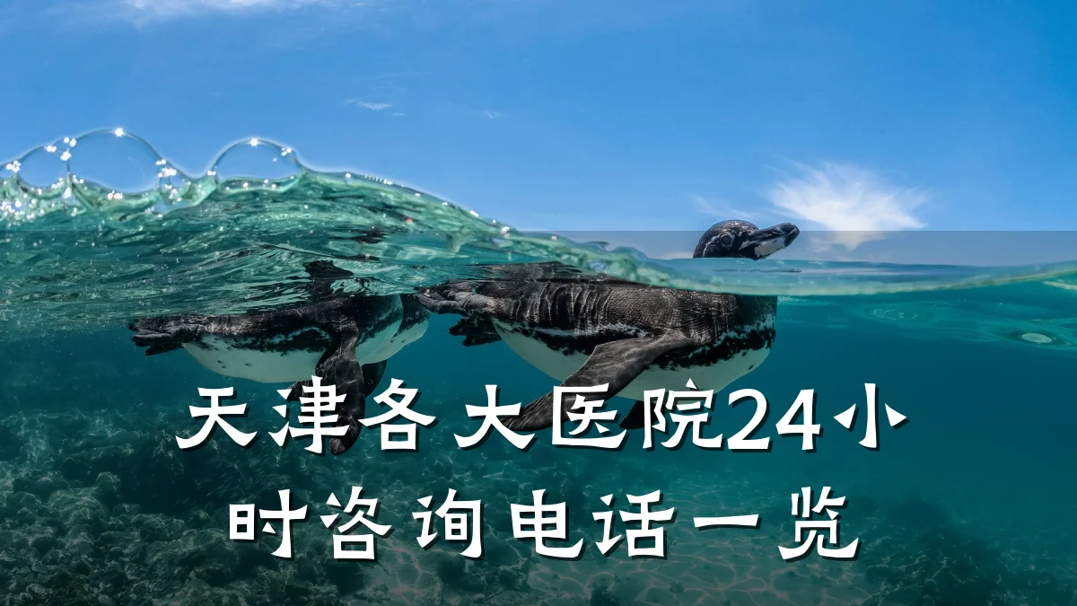 天津各大医院24小时咨询电话一览
