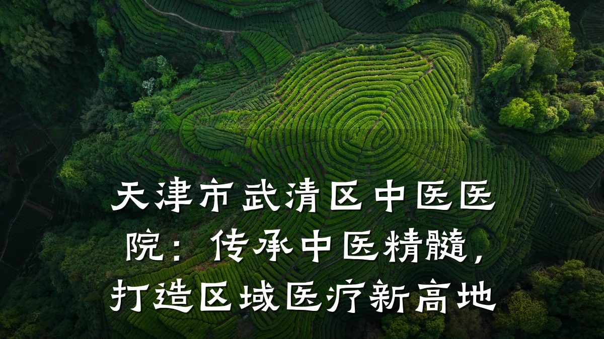 天津市武清区中医医院:传承中医精髓,打造区域医疗新高地