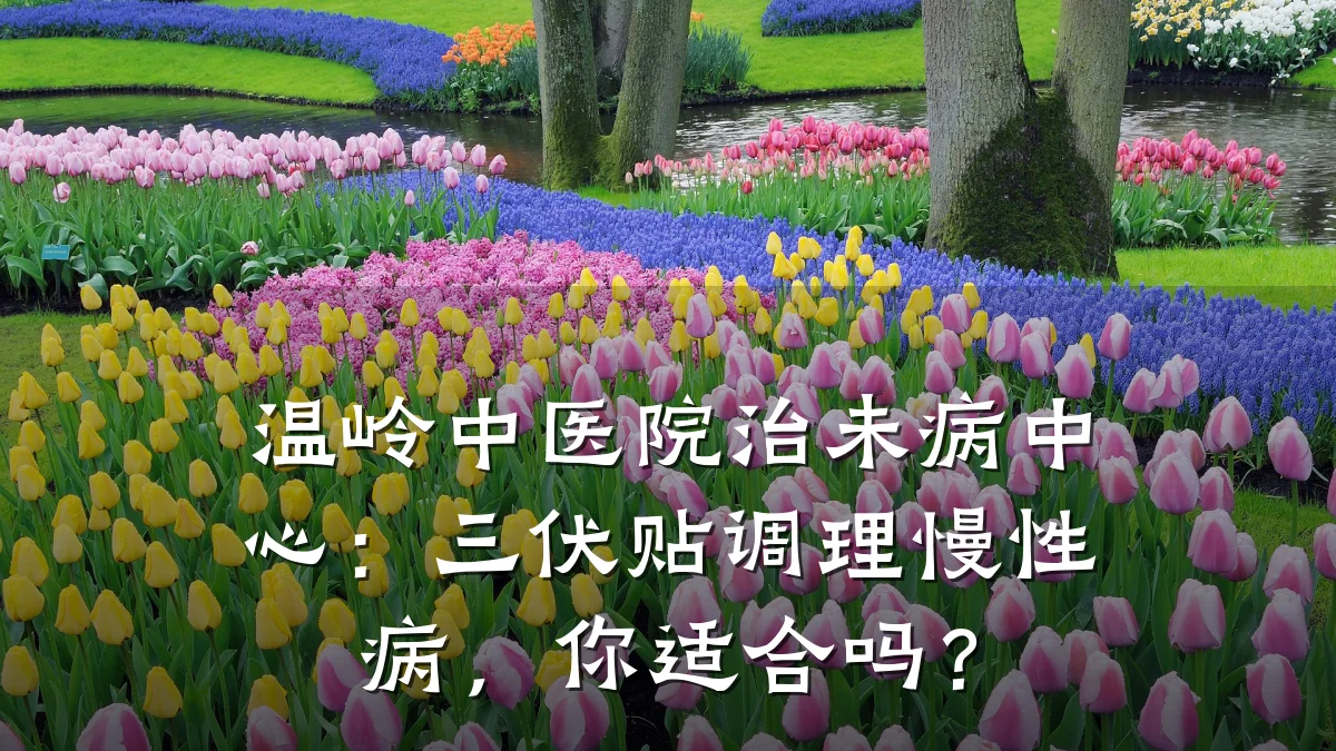 温岭中医院治未病中心:三伏贴调理慢性病,你适合吗?