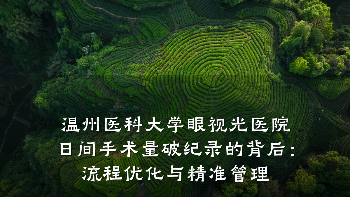 温州医科大学眼视光医院日间手术量破纪录的背后:流程优化与精准管理