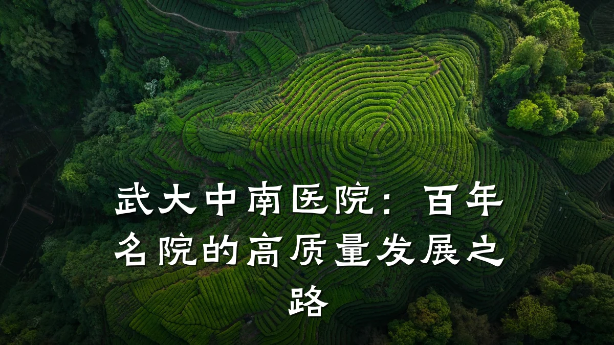 武大中南医院：百年名院的高质量发展之路