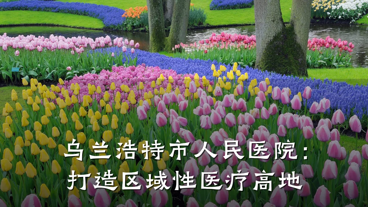 乌兰浩特市人民医院：打造区域性医疗高地