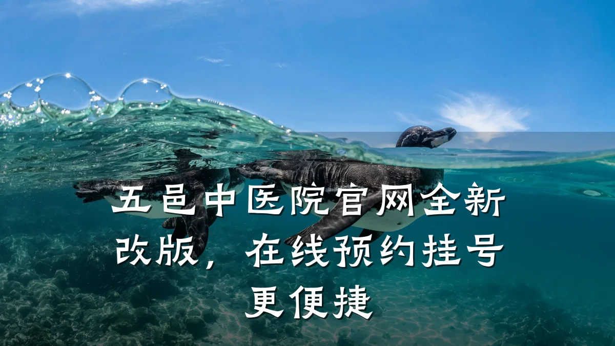 五邑中医院官网全新改版,在线预约挂号更便捷