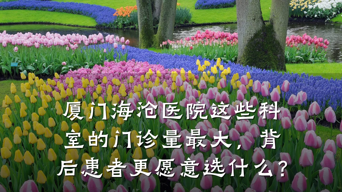厦门海沧医院这些科室的门诊量最大,背后患者更愿意选什么?