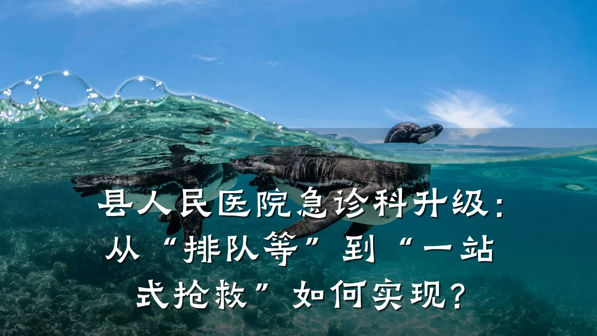 县人民医院急诊科升级:从“排队等”到“一站式抢救”如何实现?