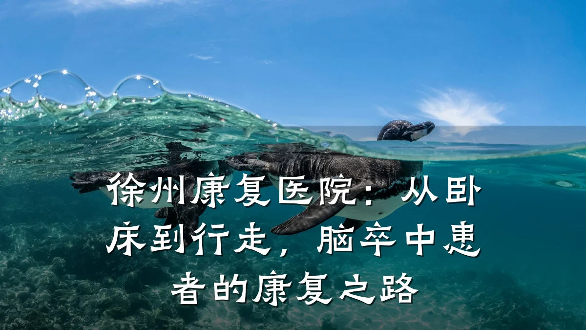 徐州康复医院：从卧床到行走，脑卒中患者的康复之路