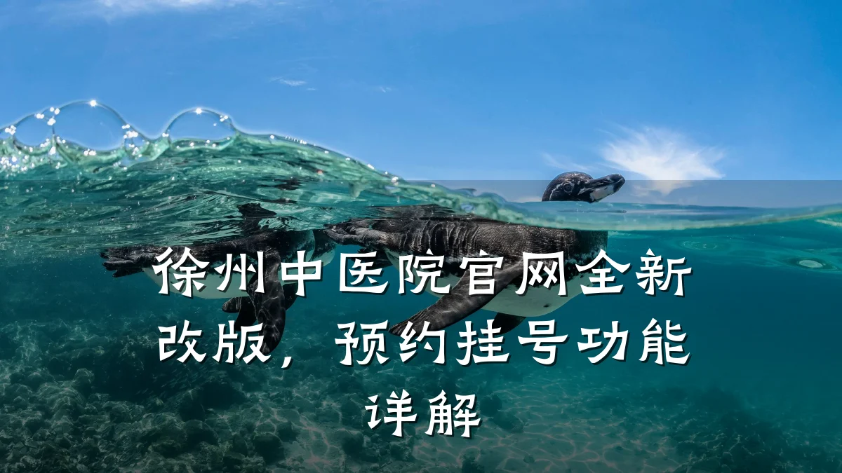 徐州中医院官网全新改版,预约挂号功能详解