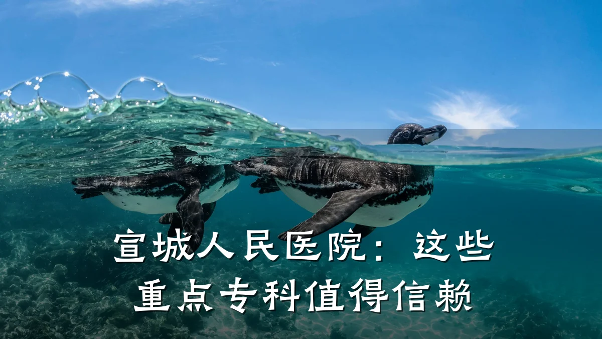 宣城人民医院:这些重点专科值得信赖