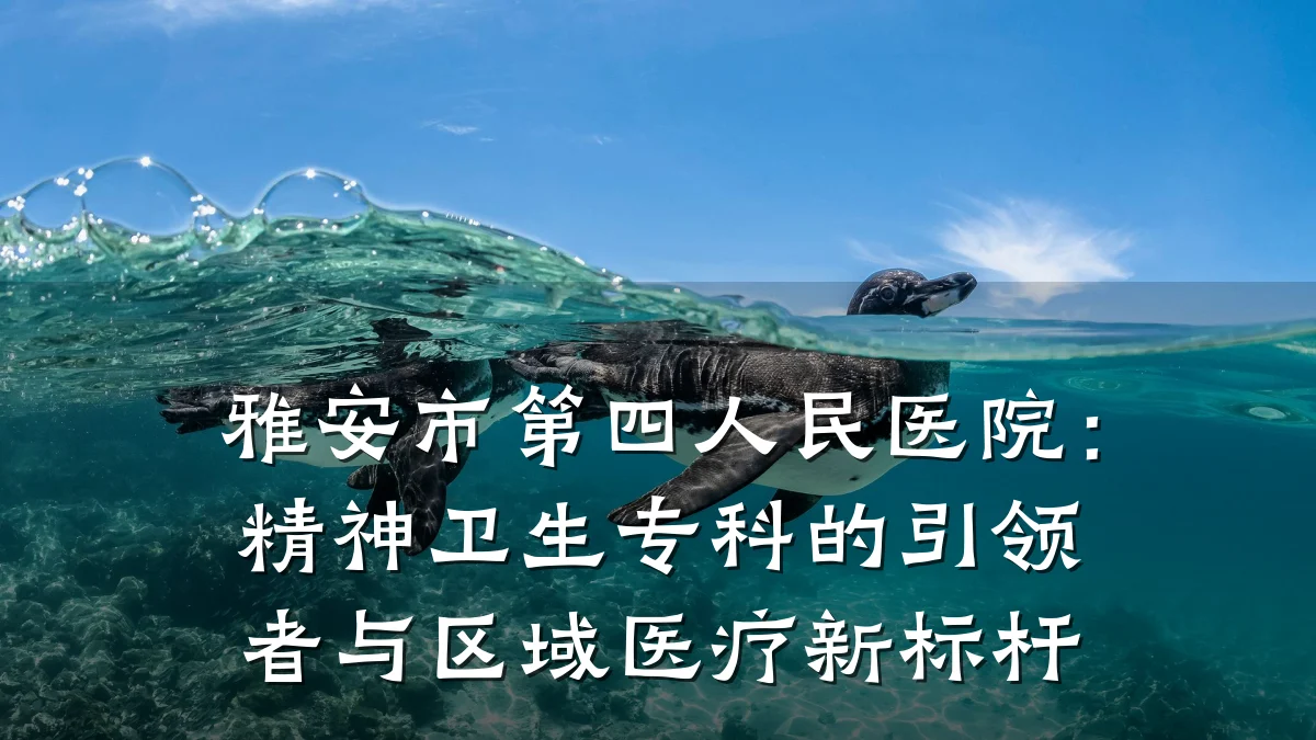 雅安市第四人民医院:精神卫生专科的引领者与区域医疗新标杆