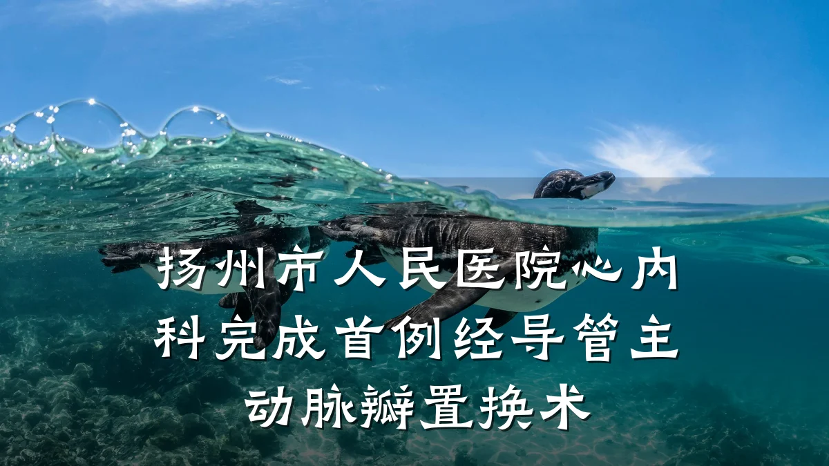 扬州市人民医院心内科完成首例经导管主动脉瓣置换术
