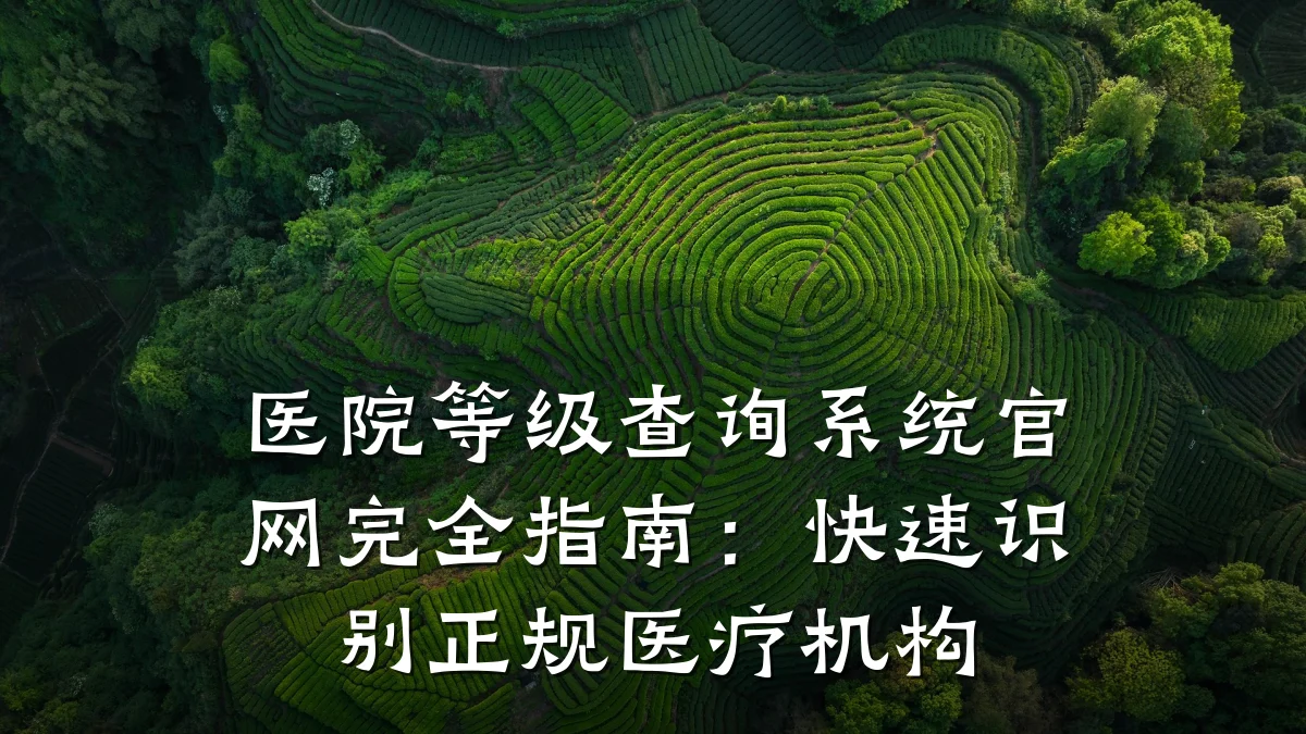 医院等级查询系统官网完全指南:快速识别正规医疗机构