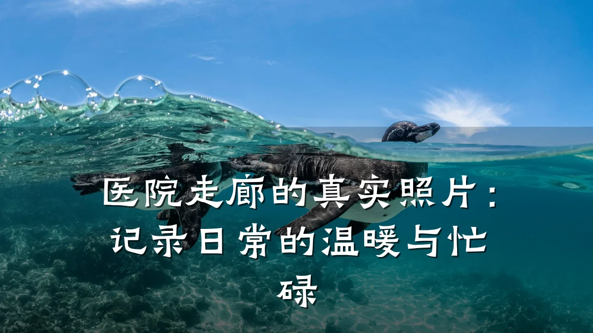 医院走廊的真实照片:记录日常的温暖与忙碌