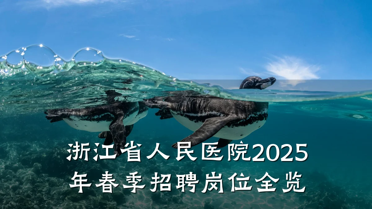 浙江省人民医院2025年春季招聘岗位全览