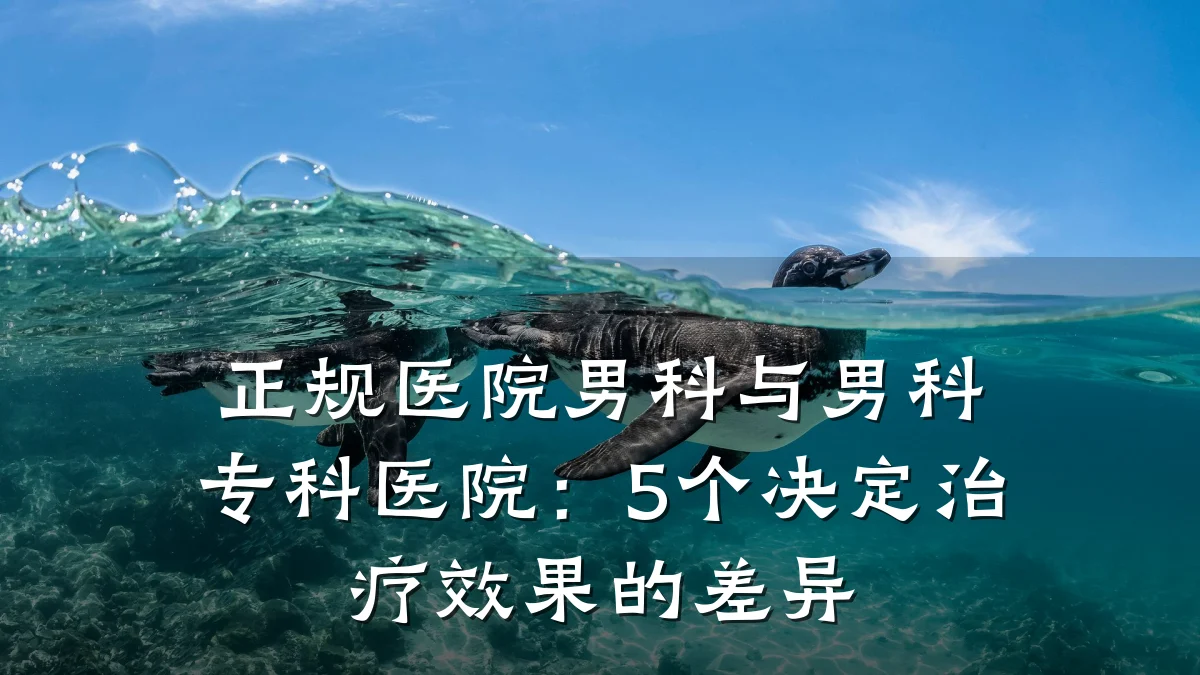 正规医院男科与男科专科医院：5个决定治疗效果的差异