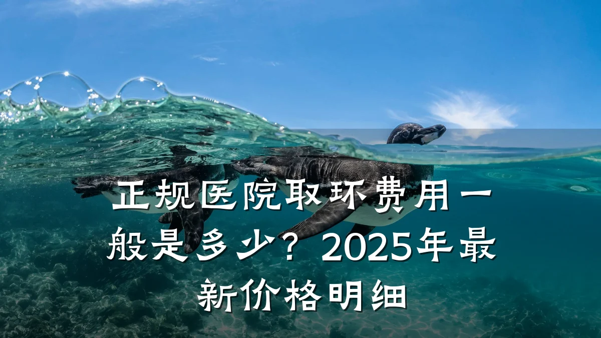 正规医院取环费用一般是多少？2025年最新价格明细
