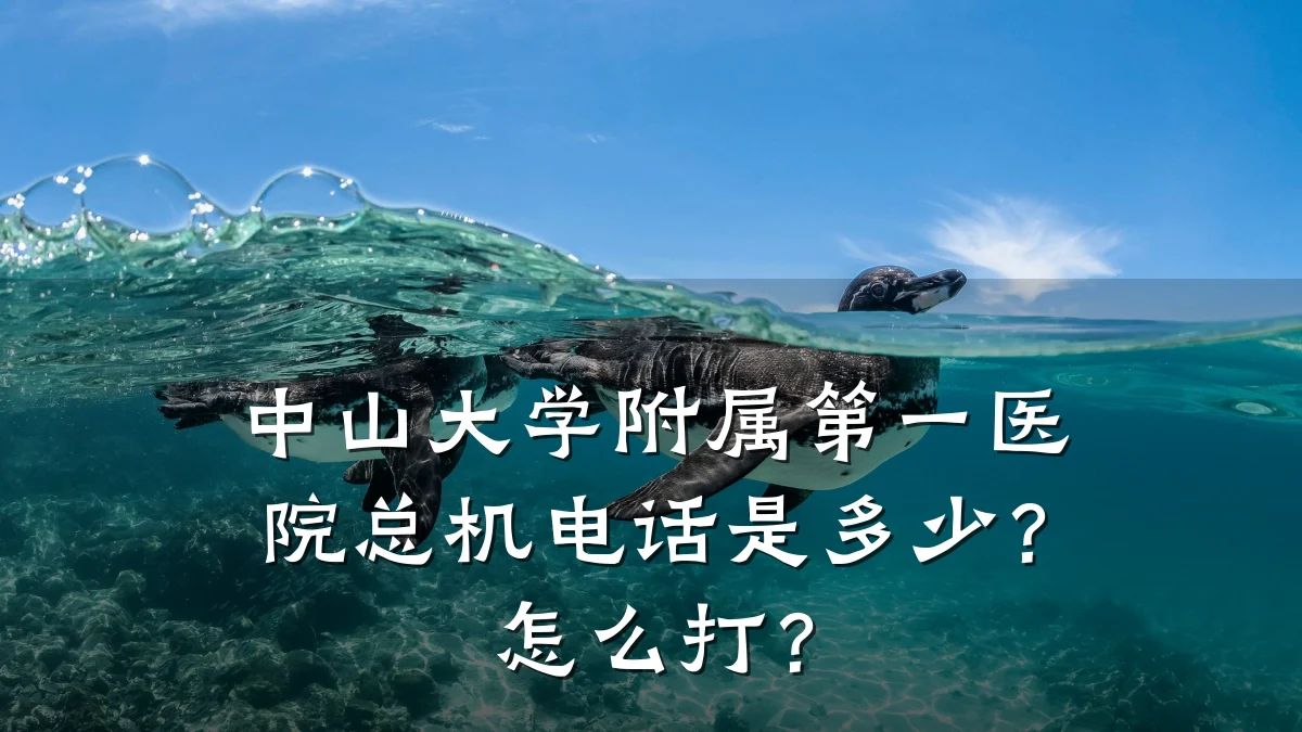 中山大学附属第一医院总机电话是多少?怎么打?