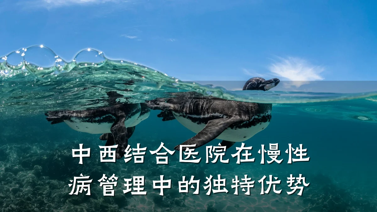 中西结合医院在慢性病管理中的独特优势