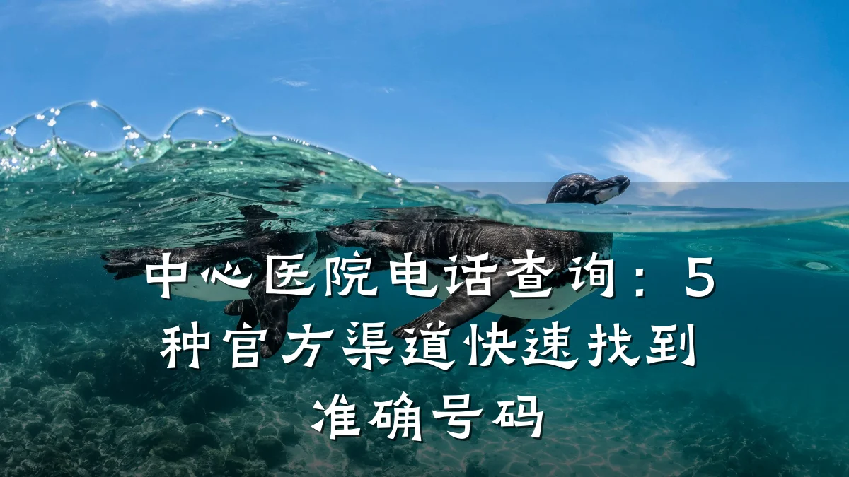 中心医院电话查询：5种官方渠道快速找到准确号码