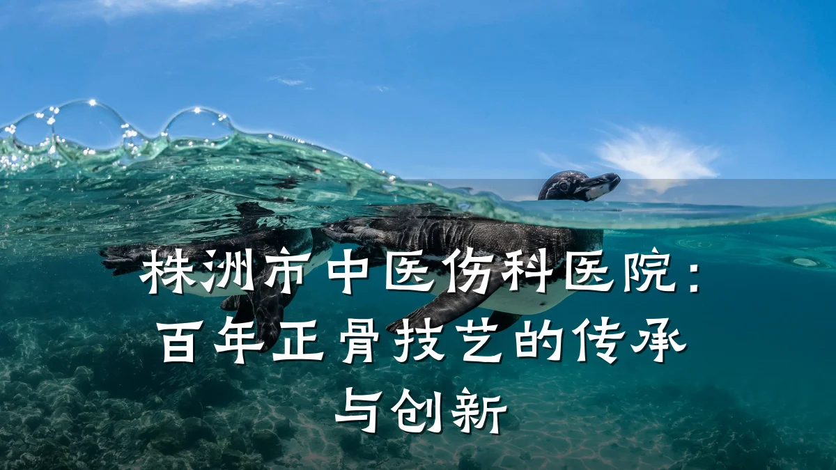 株洲市中医伤科医院:百年正骨技艺的传承与创新