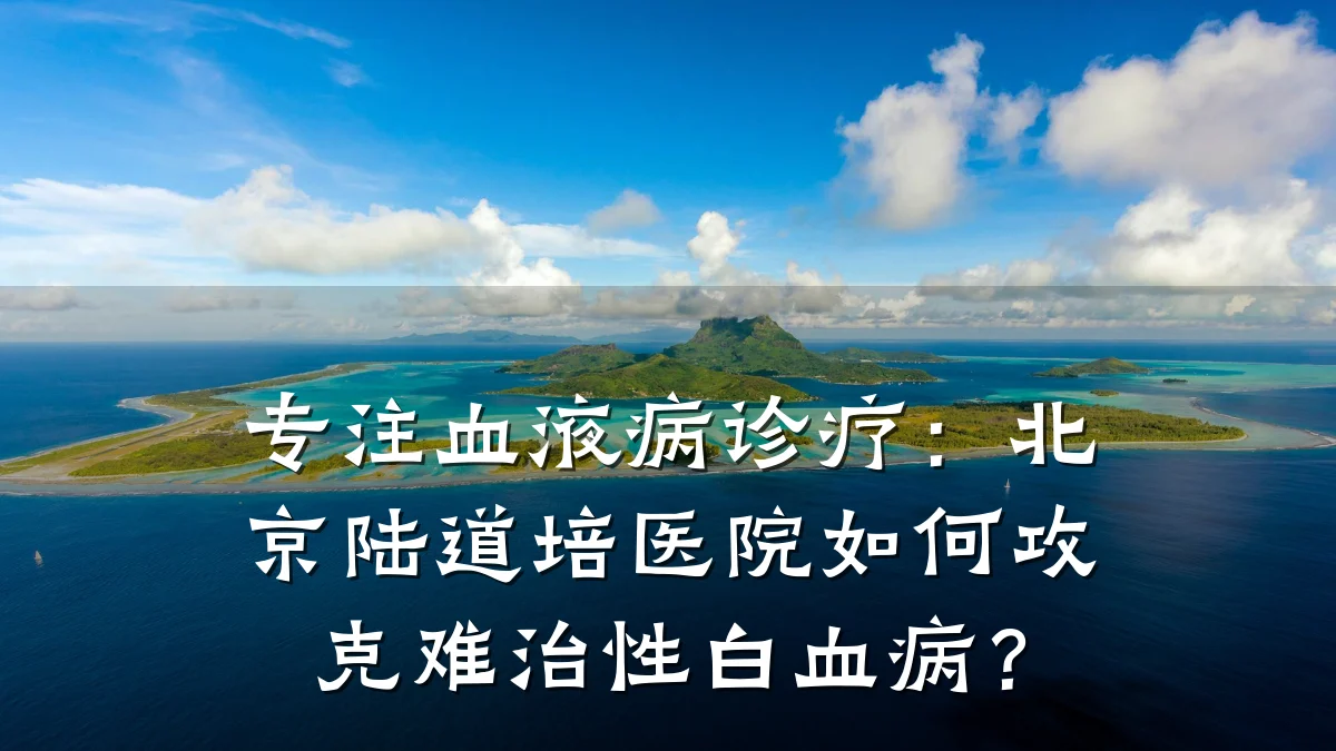 专注血液病诊疗:北京陆道培医院如何攻克难治性白血病?